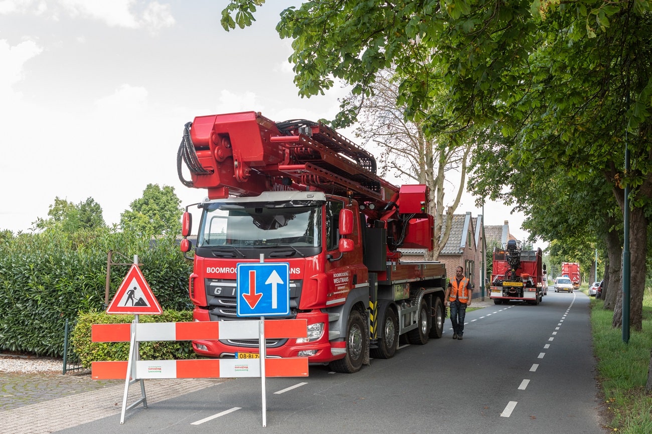 Boom bij boerderij - Foto 4