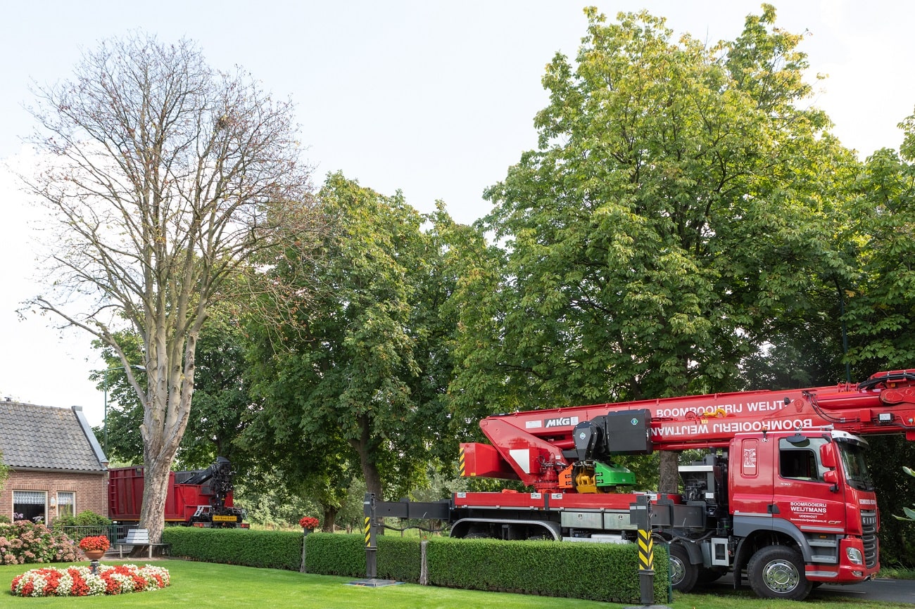 Boom bij boerderij - Foto 5