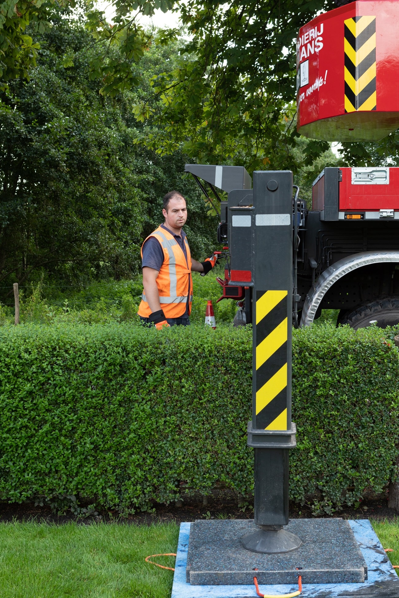 Boom bij boerderij - Foto 6