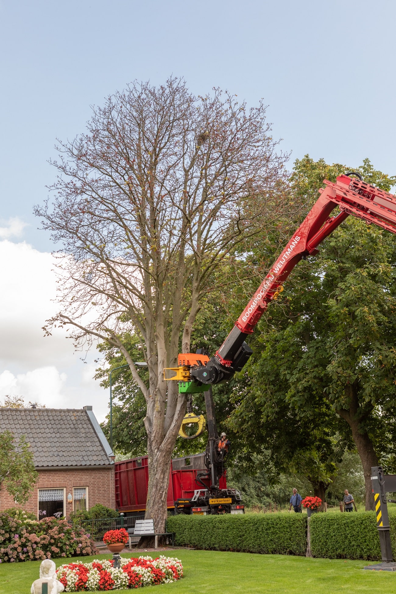 Boom bij boerderij - Foto 7