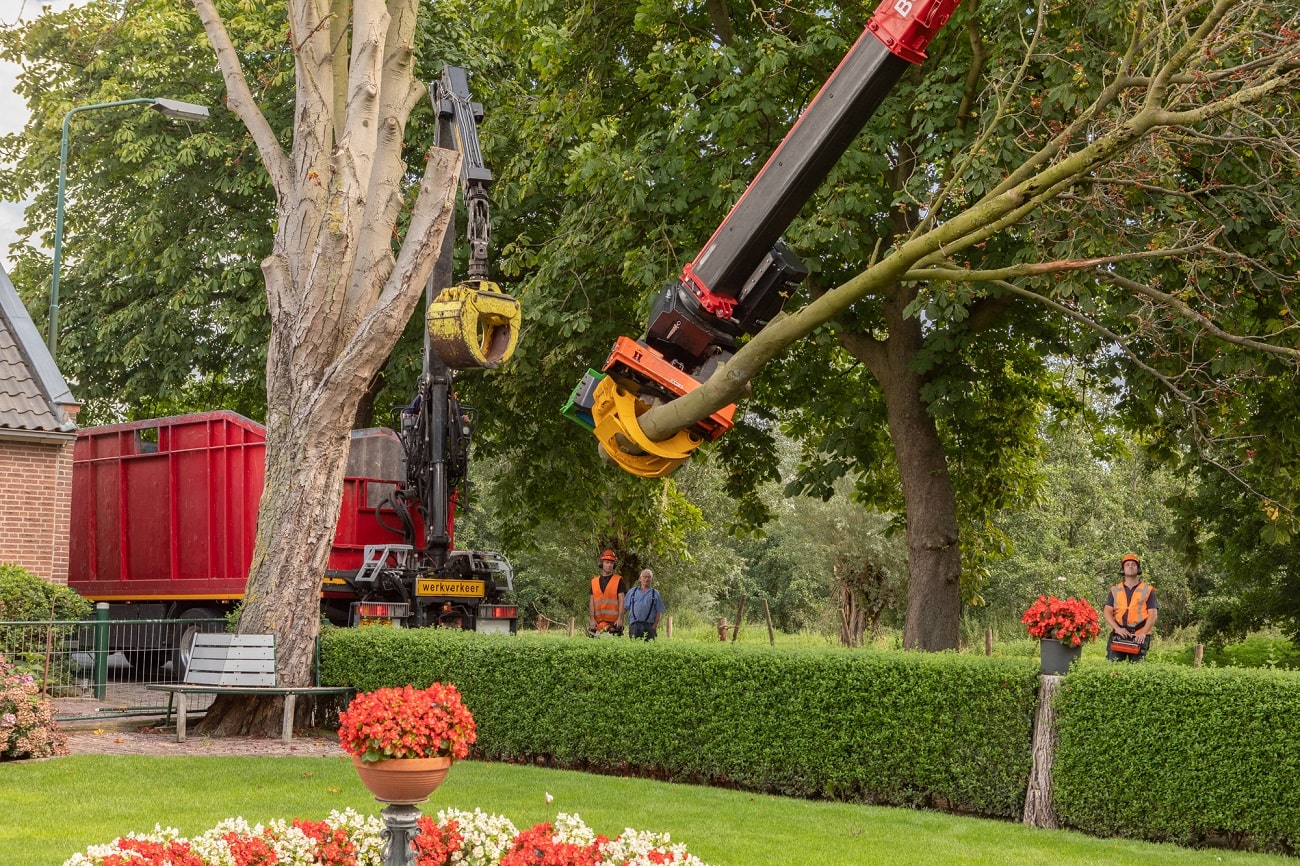 Boom bij boerderij - Foto 8