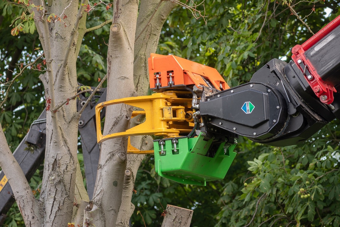 Boom bij boerderij - Foto 9