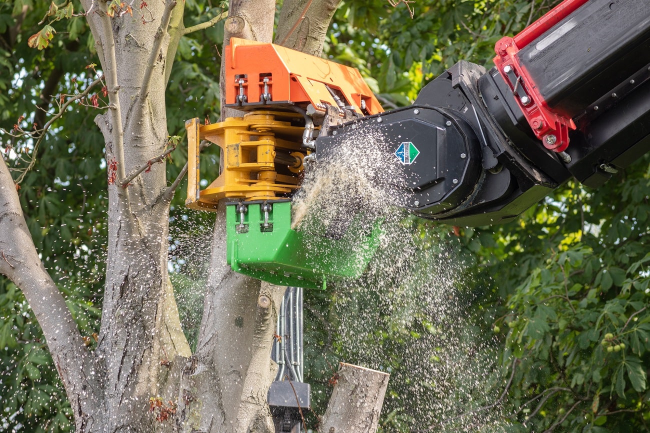 Boom bij boerderij - Foto 10