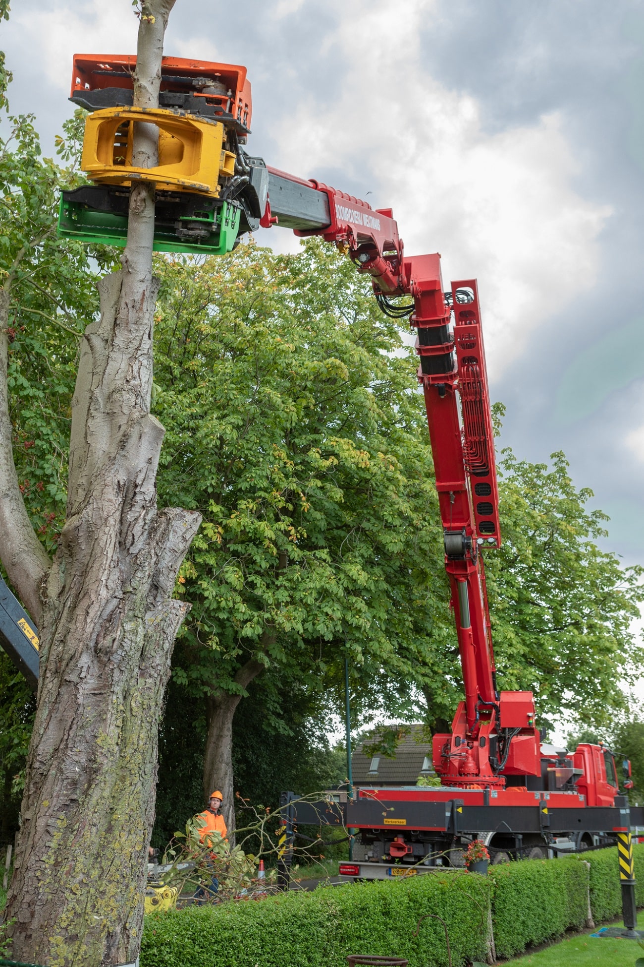 Boom bij boerderij - Foto 11