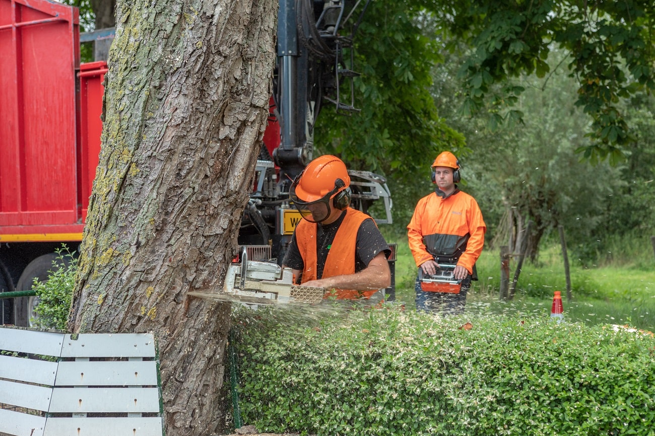 Boom bij boerderij - Foto 12