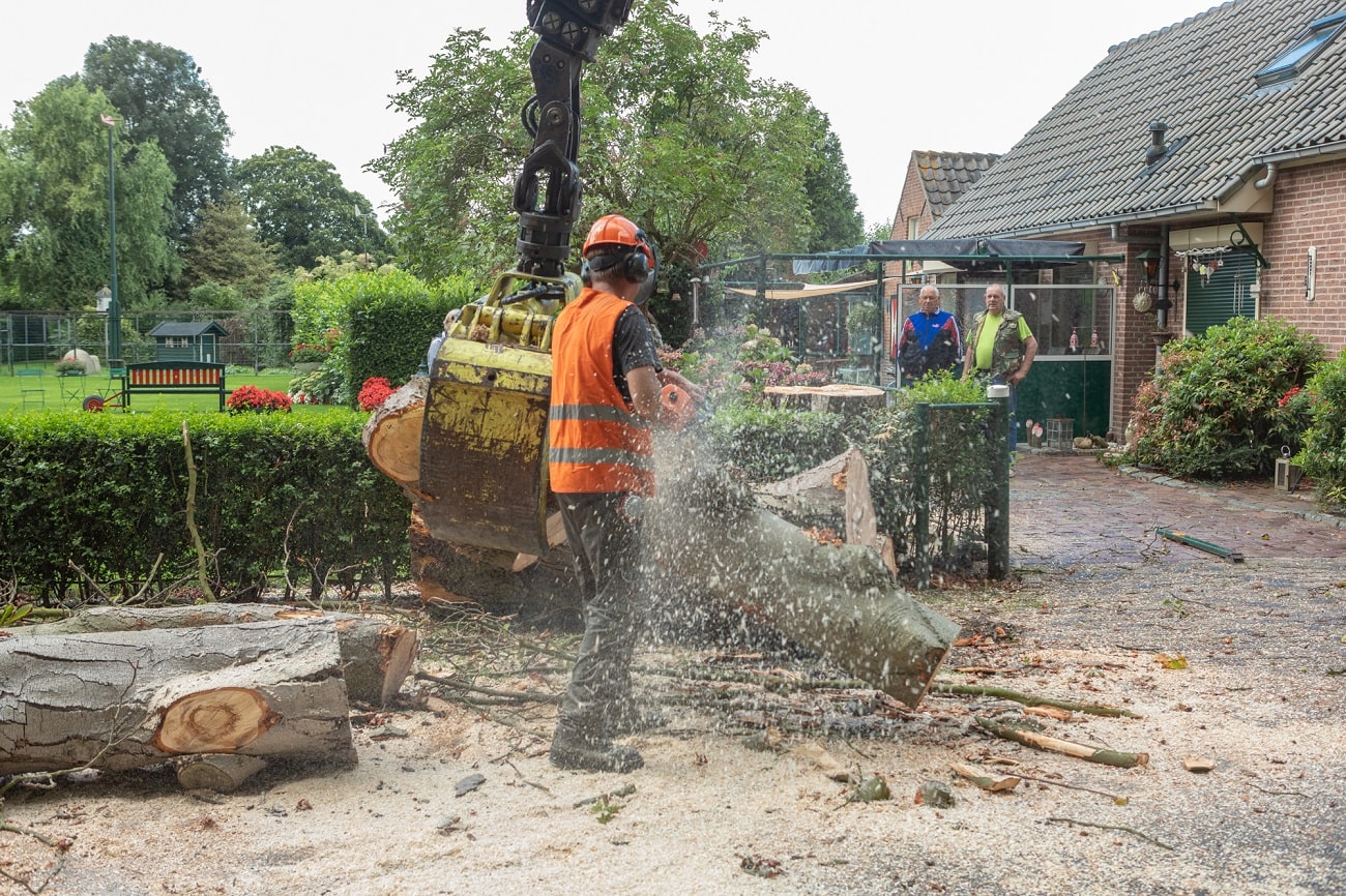 Boom bij boerderij - Foto 13