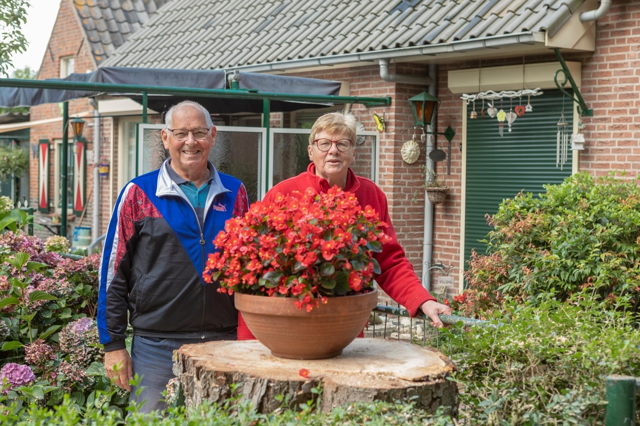 Boom bij boerderij - Foto 14