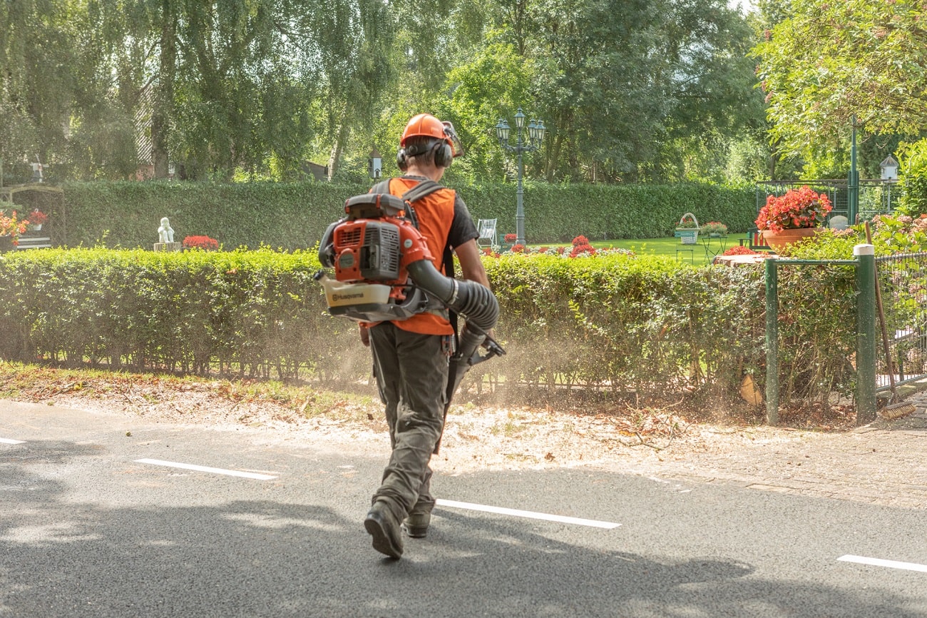 Boom bij boerderij - Foto 15