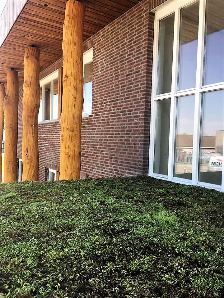 Opening nieuw bedrijfspand - Foto 1