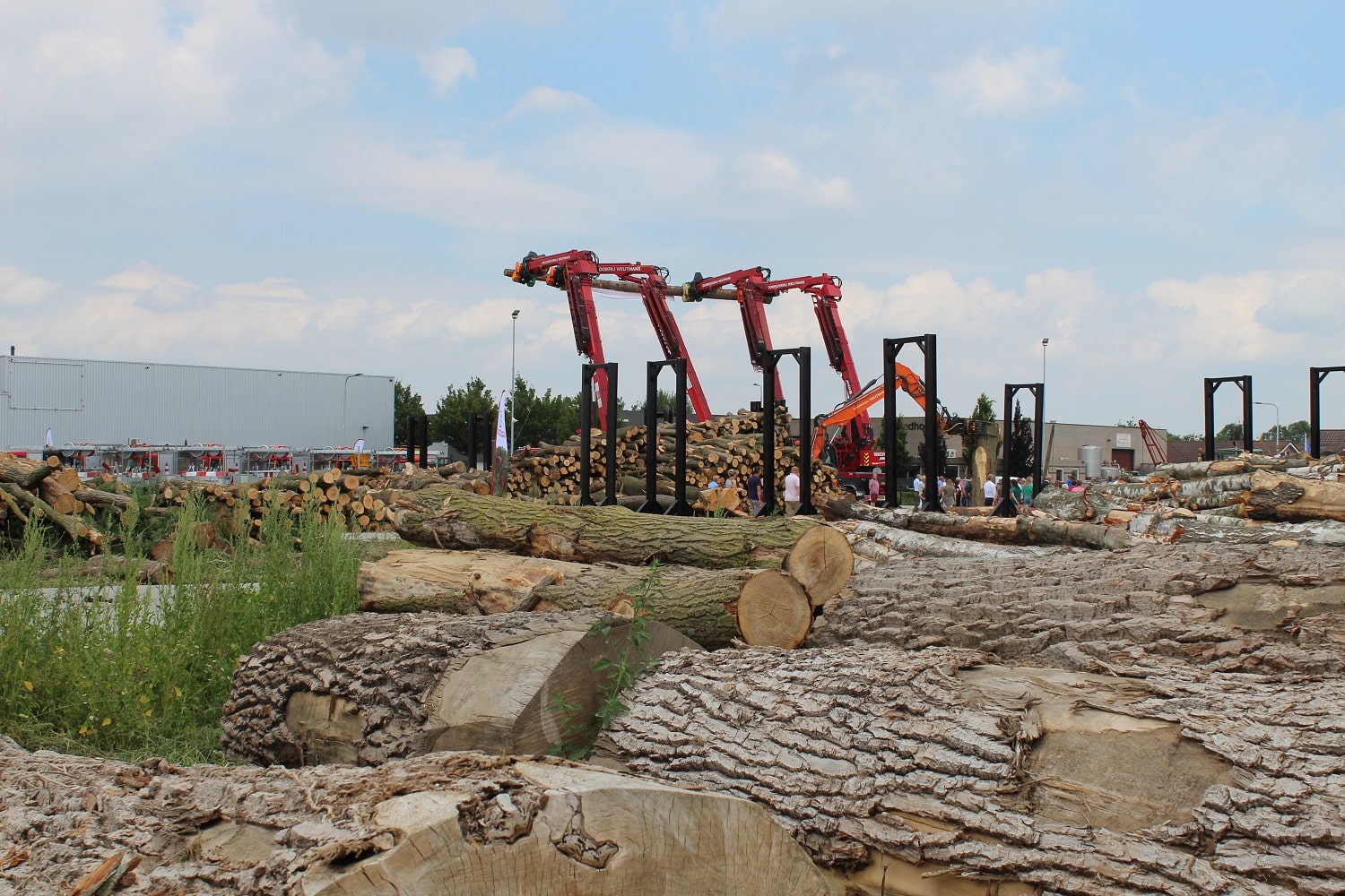 Opening nieuw bedrijfspand - Foto 5