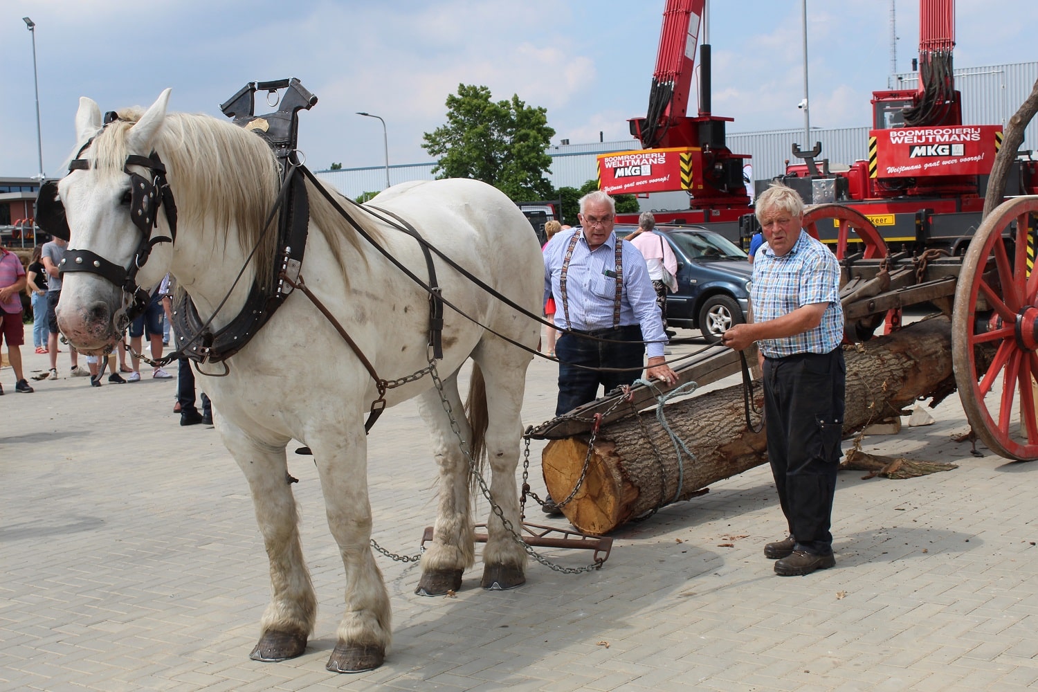 Opening nieuw bedrijfspand - Foto 6