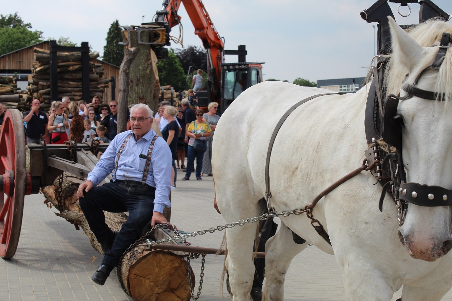 Opening nieuw bedrijfspand - Foto 8