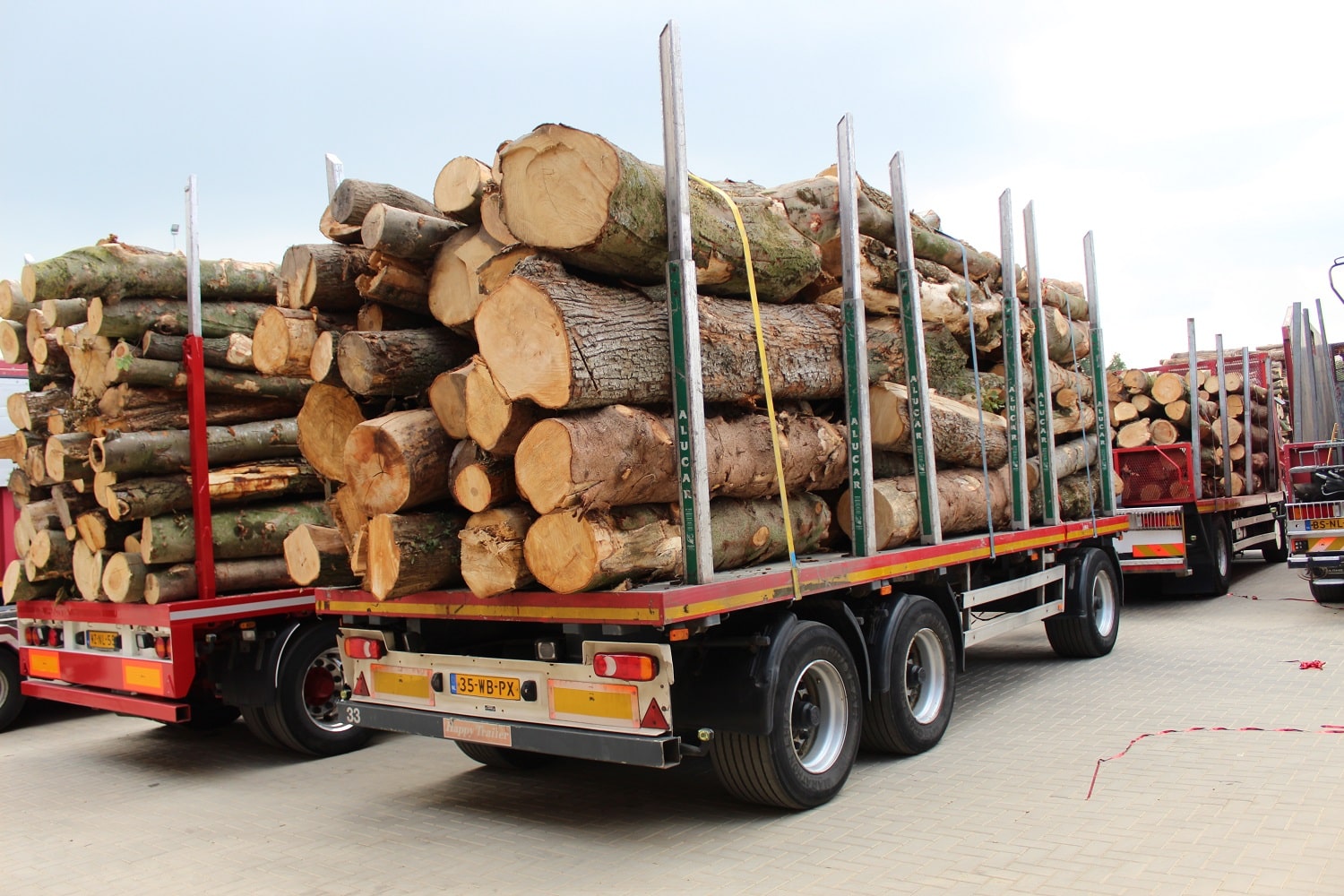 Opening nieuw bedrijfspand - Foto 13