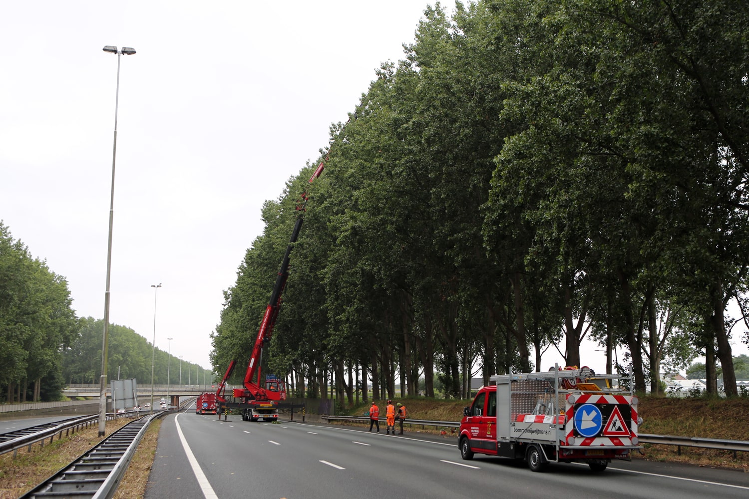 Bomen rooien rijksweg A20 - Foto 1