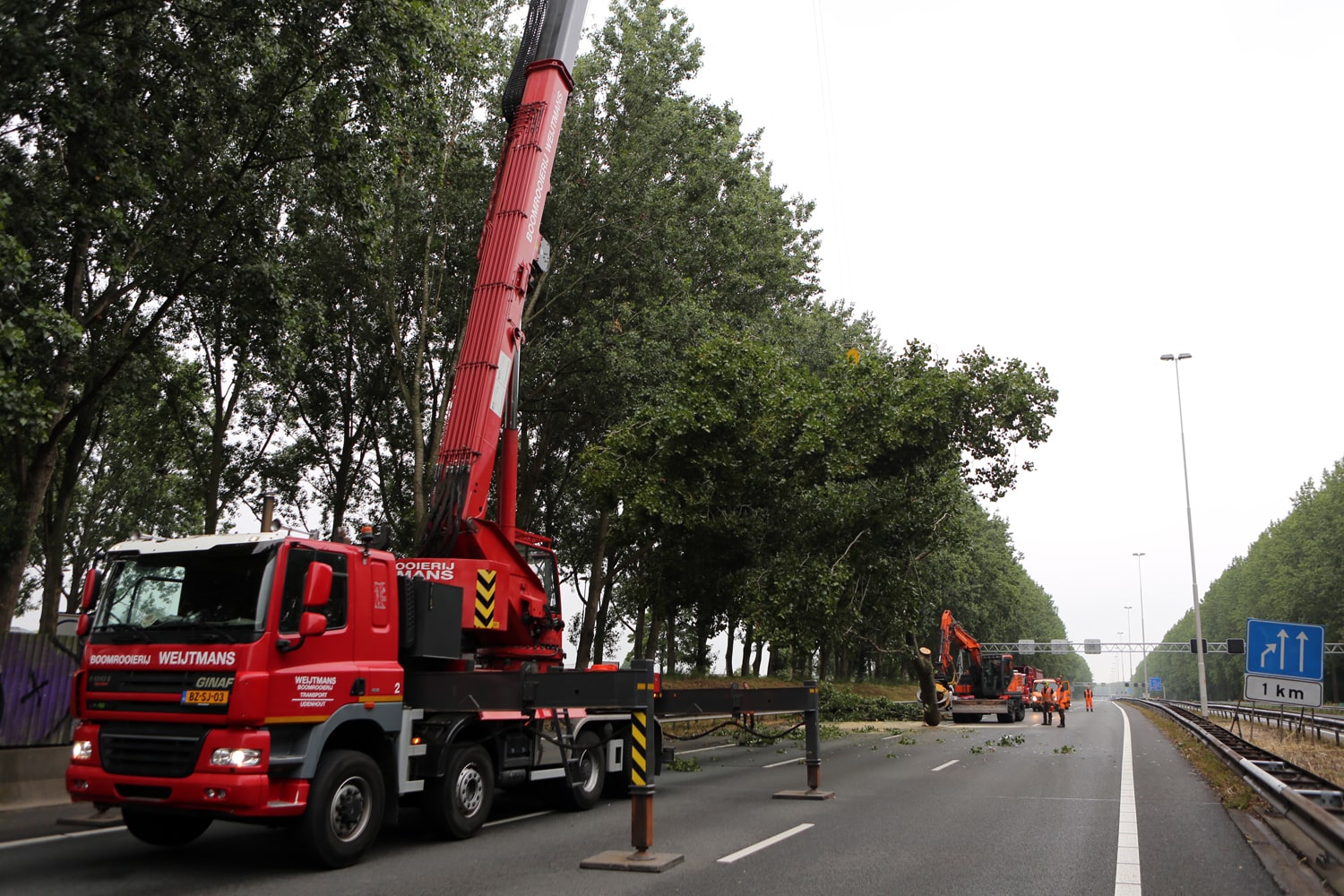 Bomen rooien rijksweg A20 - Foto 2