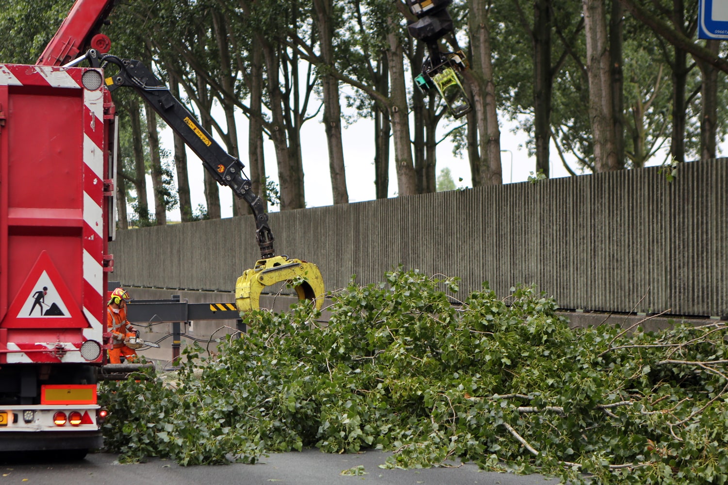 Bomen rooien rijksweg A20 - Foto 3