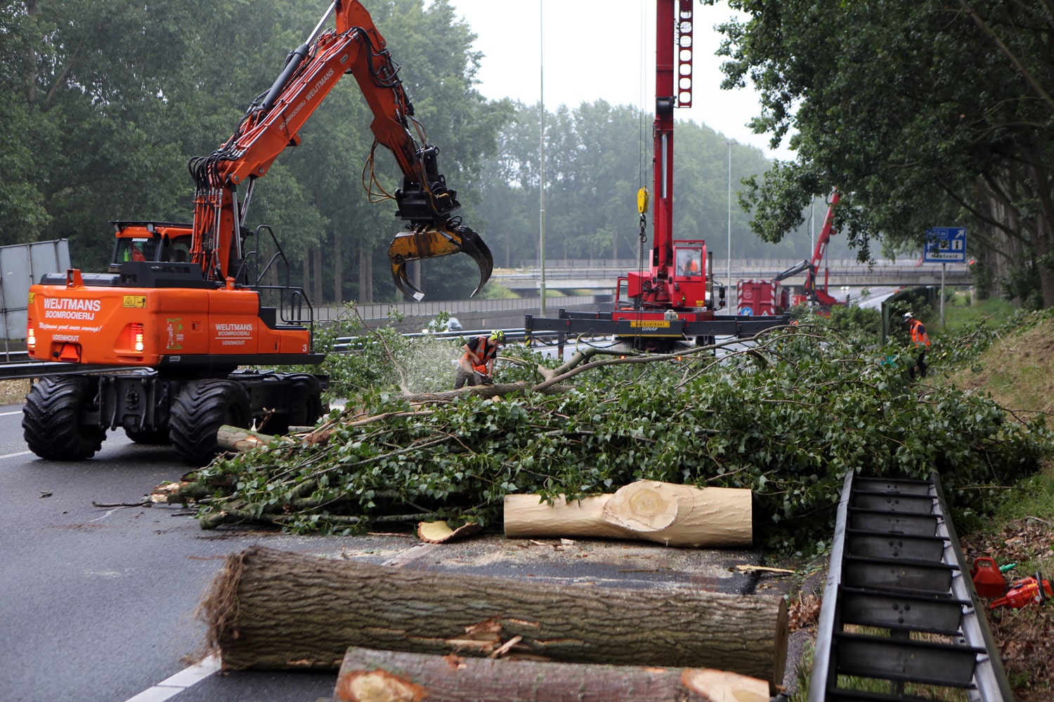 Bomen rooien rijksweg A20 - Foto 7
