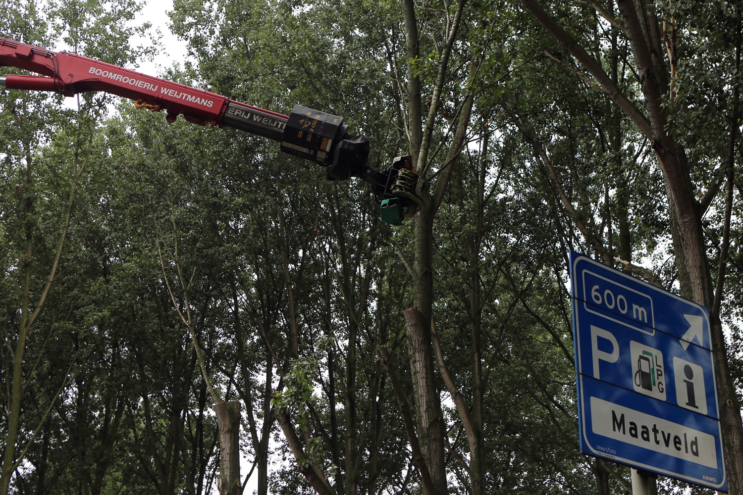 Bomen rooien rijksweg A20 - Foto 8