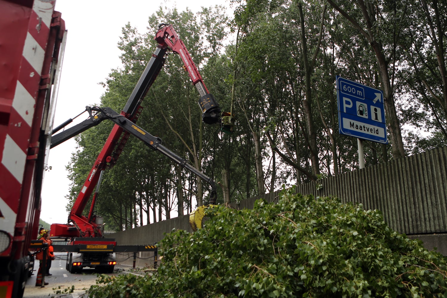 Bomen rooien rijksweg A20 - Foto 9