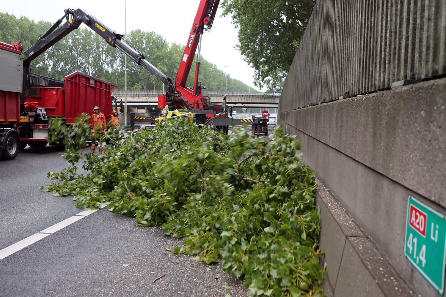 Bomen rooien rijksweg A20 - Foto 10
