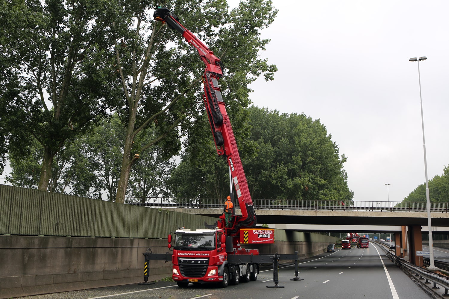 Bomen rooien rijksweg A20 - Foto 11