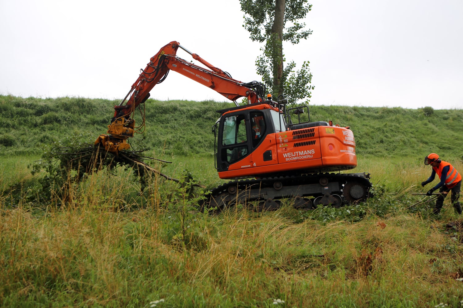 Bomen rooien rijksweg A20 - Foto 12