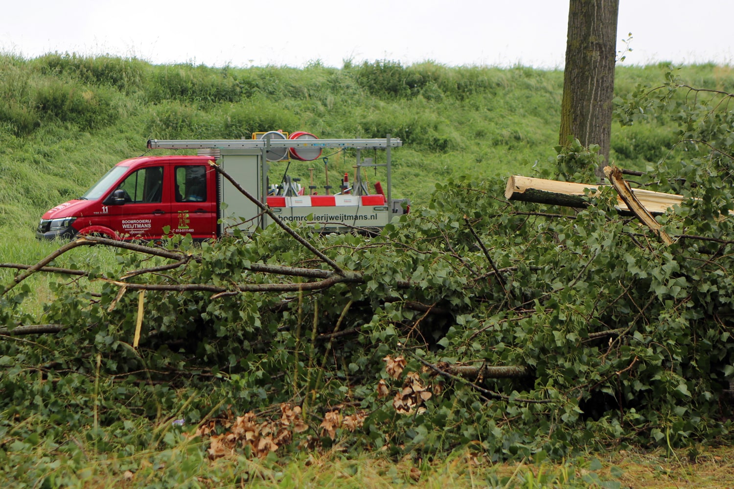 Bomen rooien rijksweg A20 - Foto 13