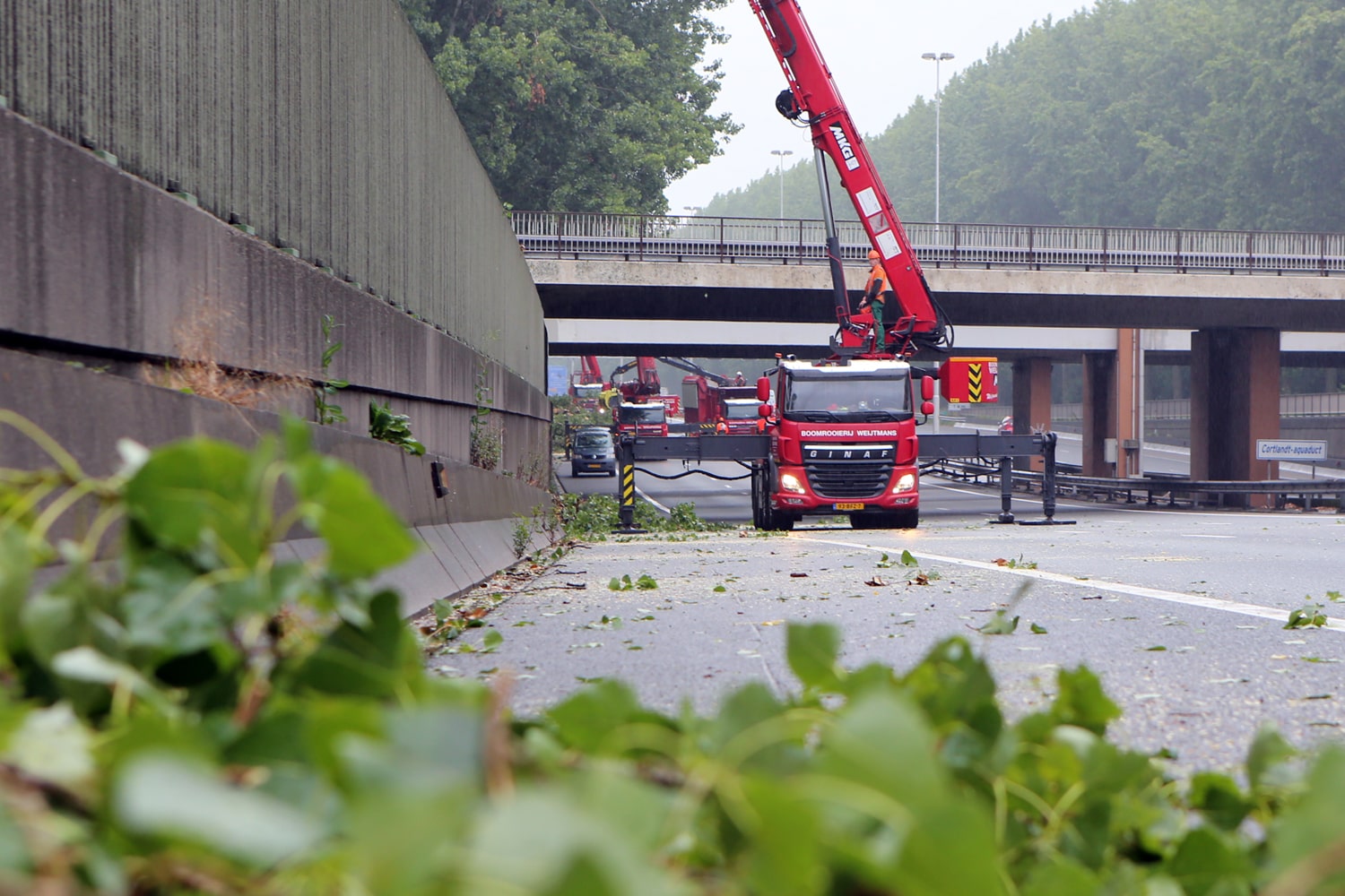 Bomen rooien rijksweg A20 - Foto 14
