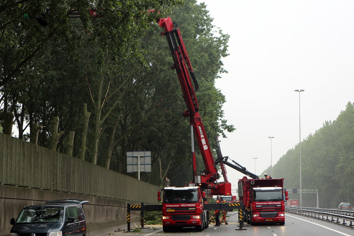 Bomen rooien rijksweg A20 - Foto 15