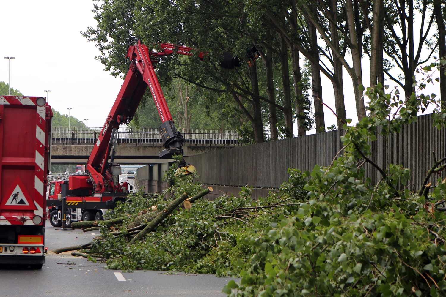 Bomen rooien rijksweg A20 - Foto 16