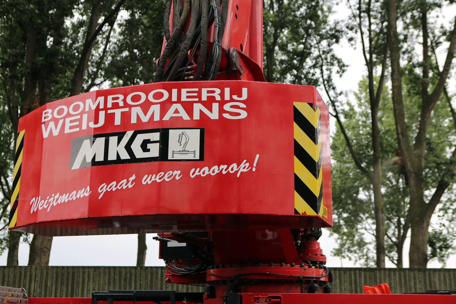 Bomen rooien rijksweg A20 - Foto 17