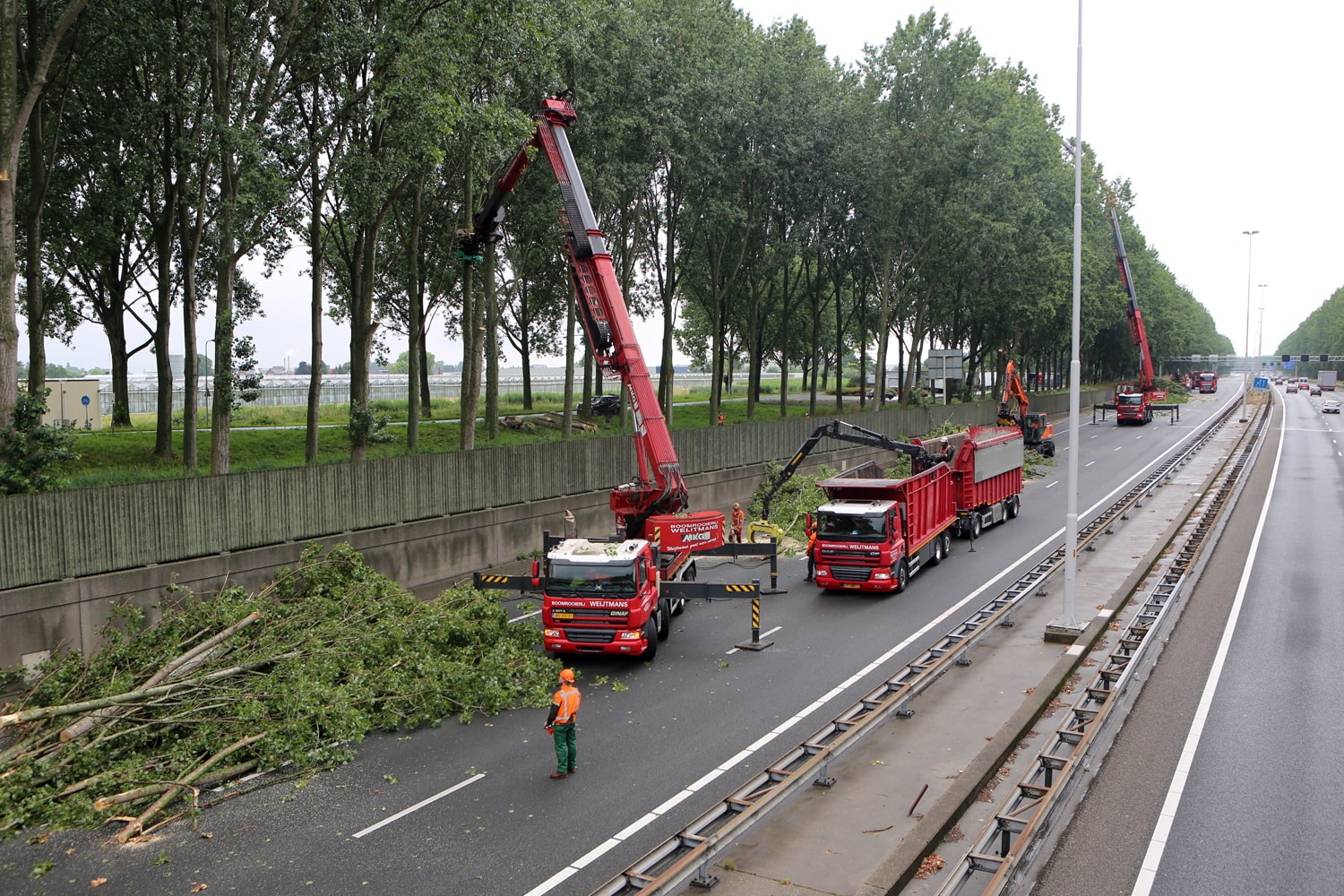 Bomen rooien rijksweg A20 - Foto 18