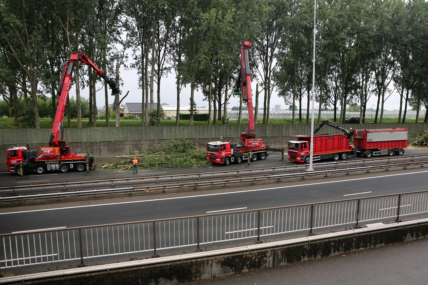 Bomen rooien rijksweg A20 - Foto 19