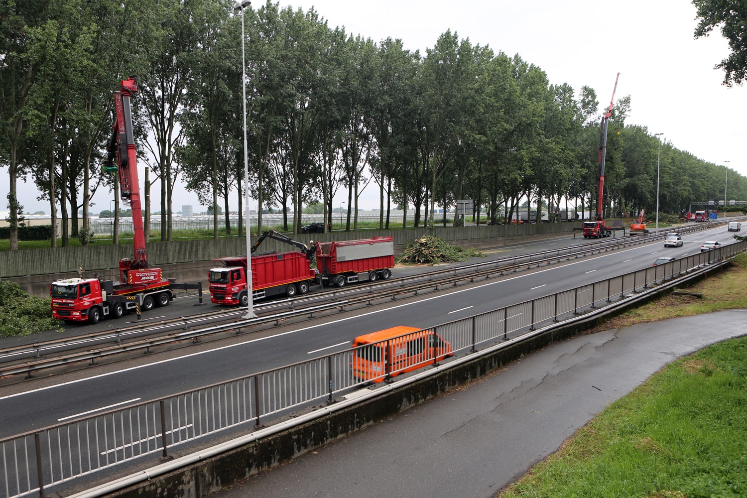 Bomen rooien rijksweg A20 - Foto 20