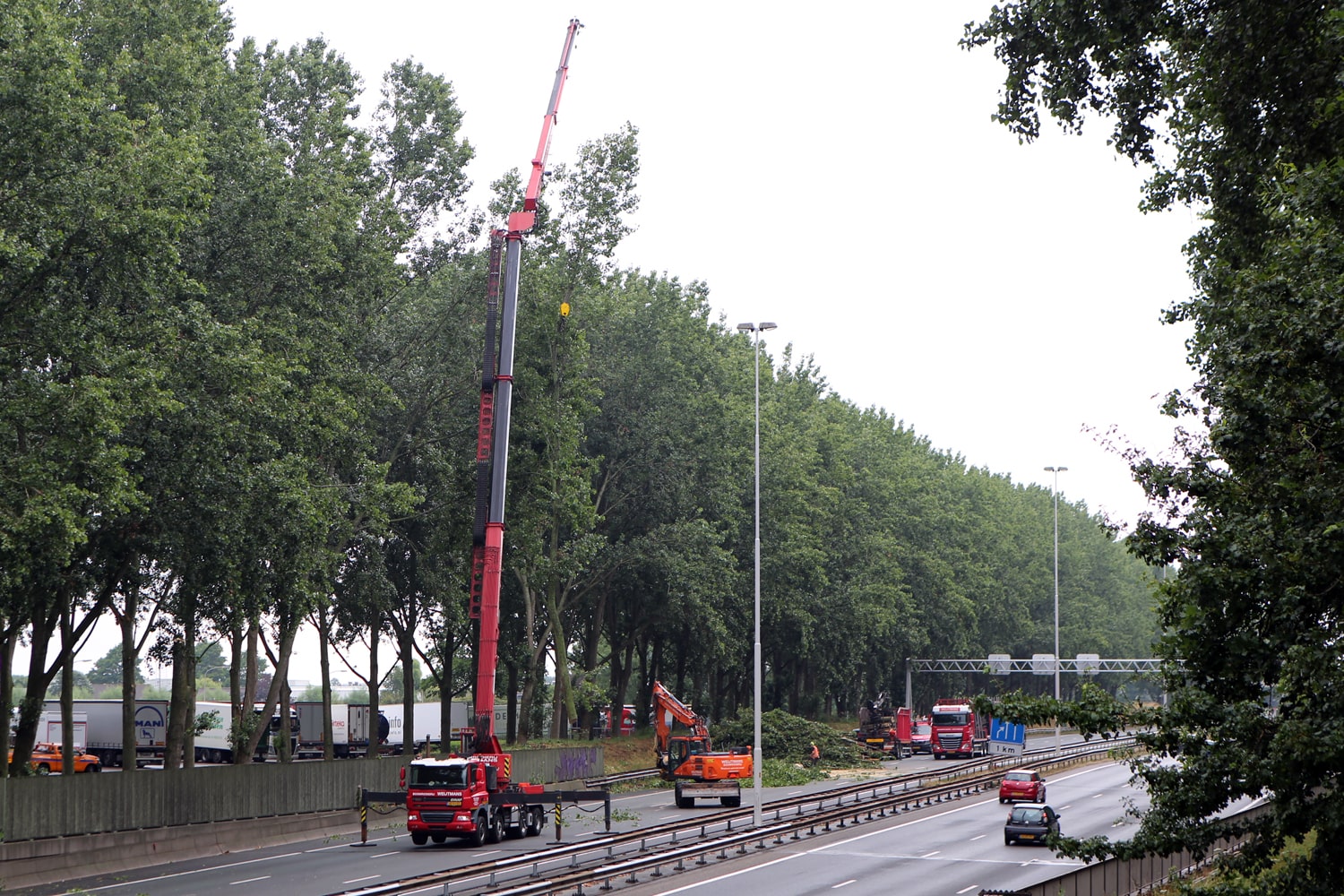 Bomen rooien rijksweg A20 - Foto 21