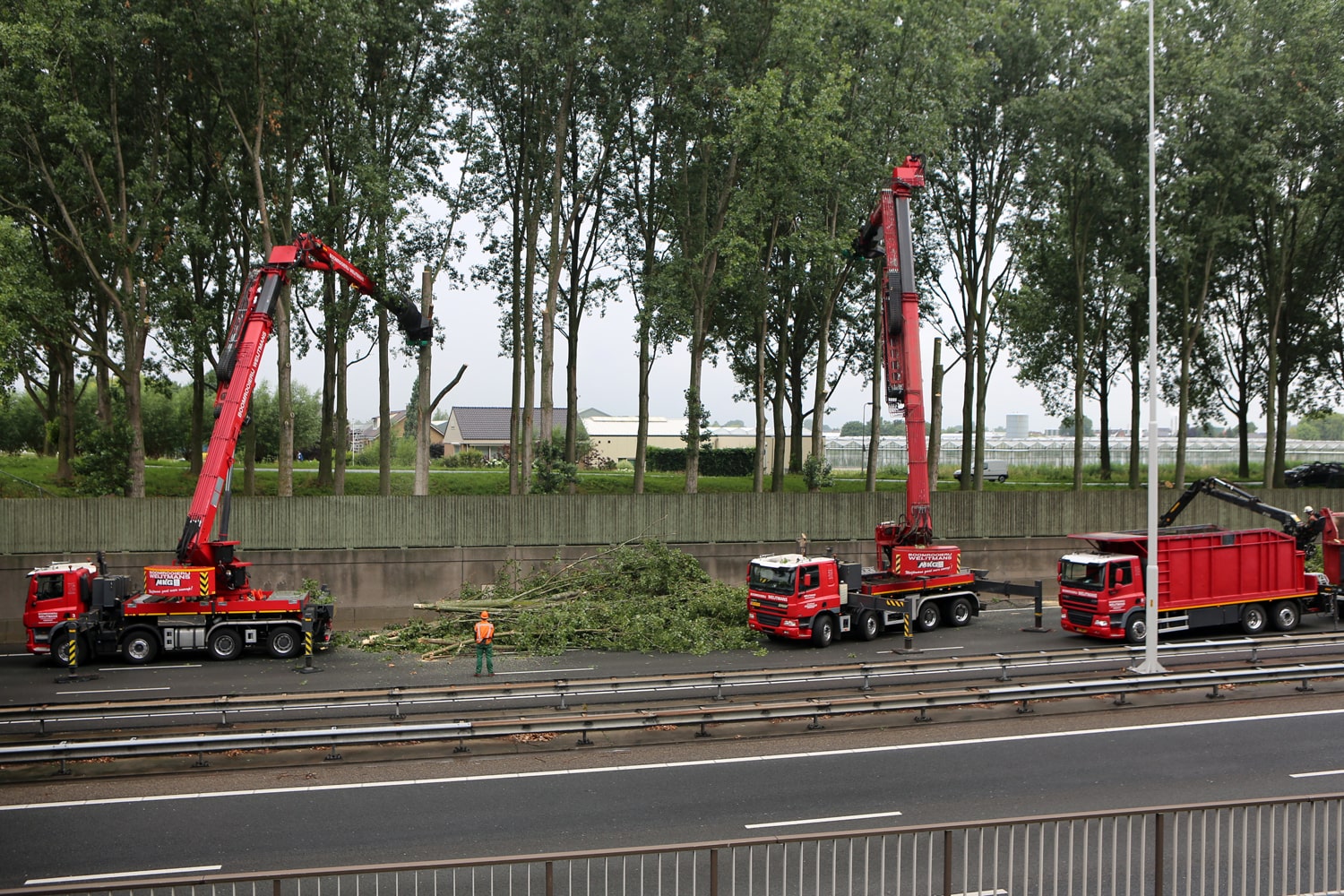 Bomen rooien rijksweg A20 - Foto 22