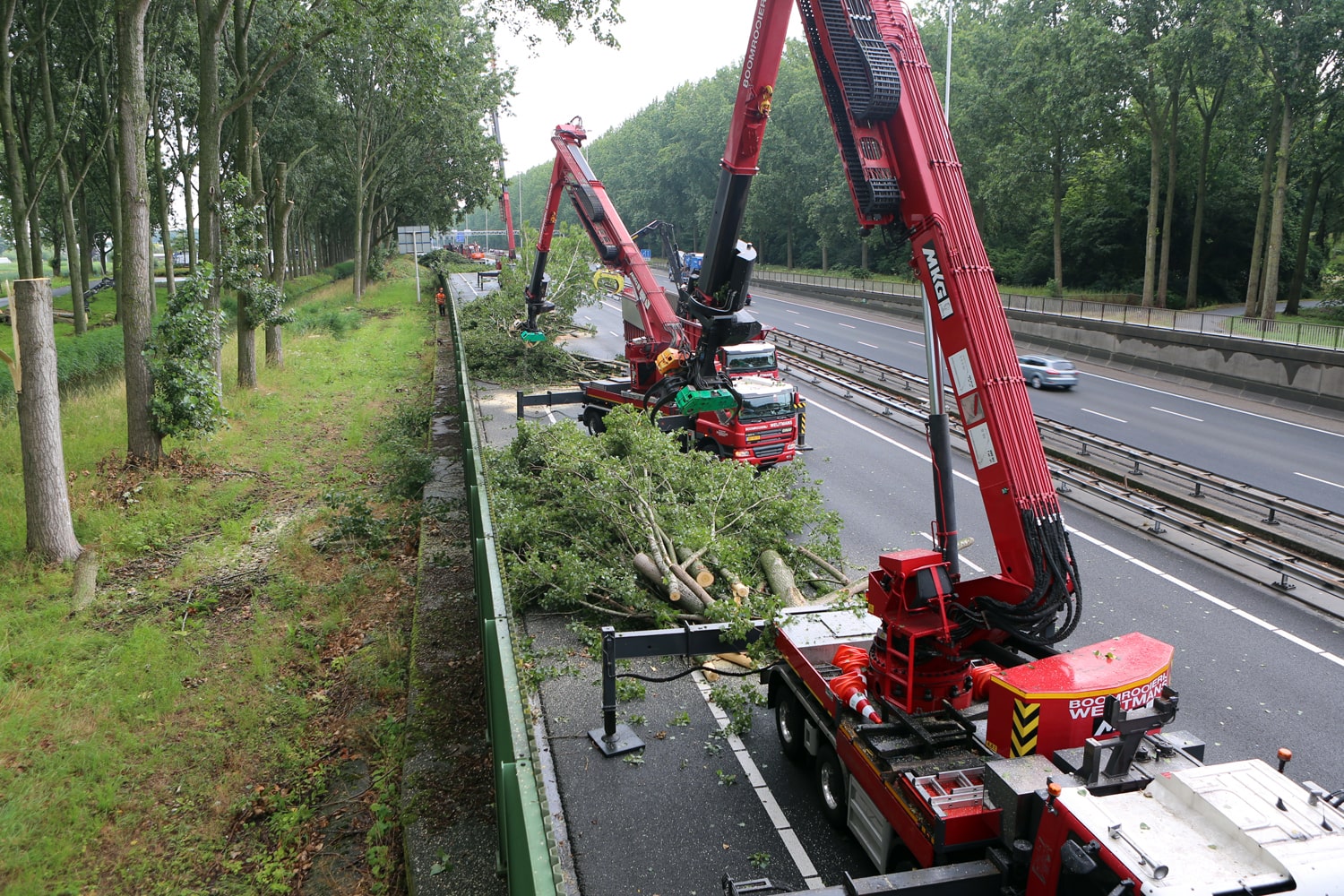 Bomen rooien rijksweg A20 - Foto 23