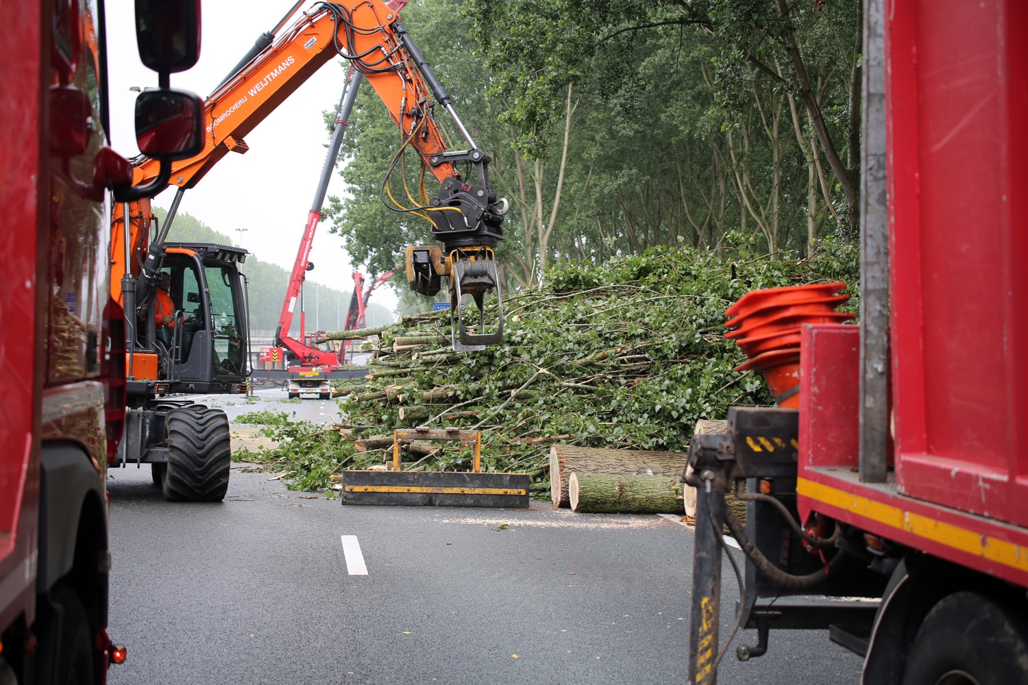 Bomen rooien rijksweg A20 - Foto 25