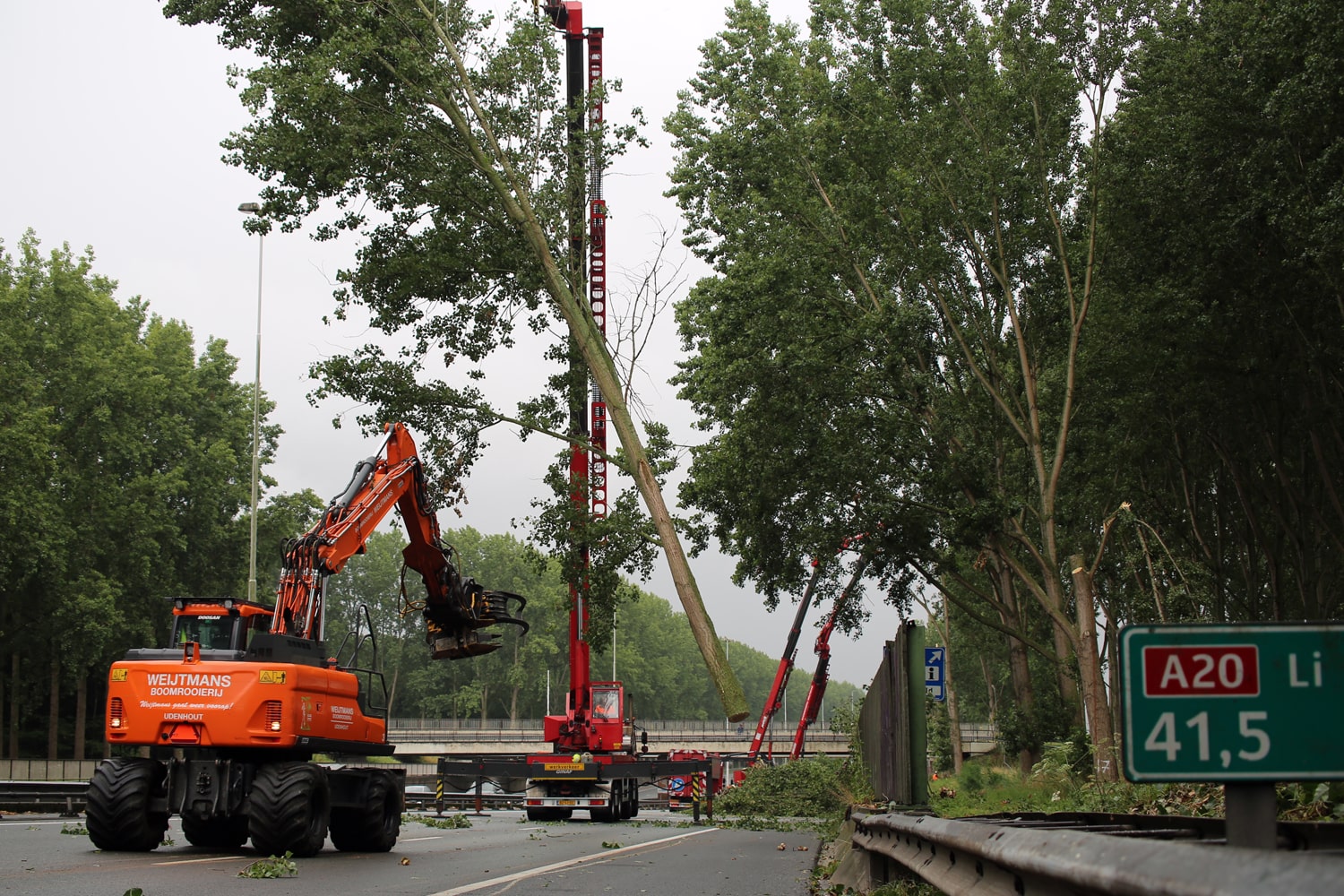 Bomen rooien rijksweg A20 - Foto 27