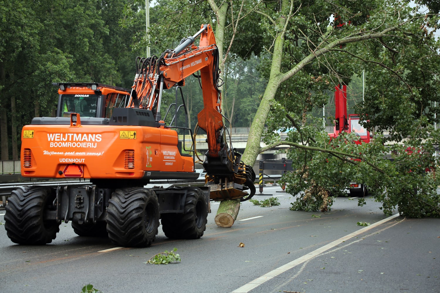 Bomen rooien rijksweg A20 - Foto 28