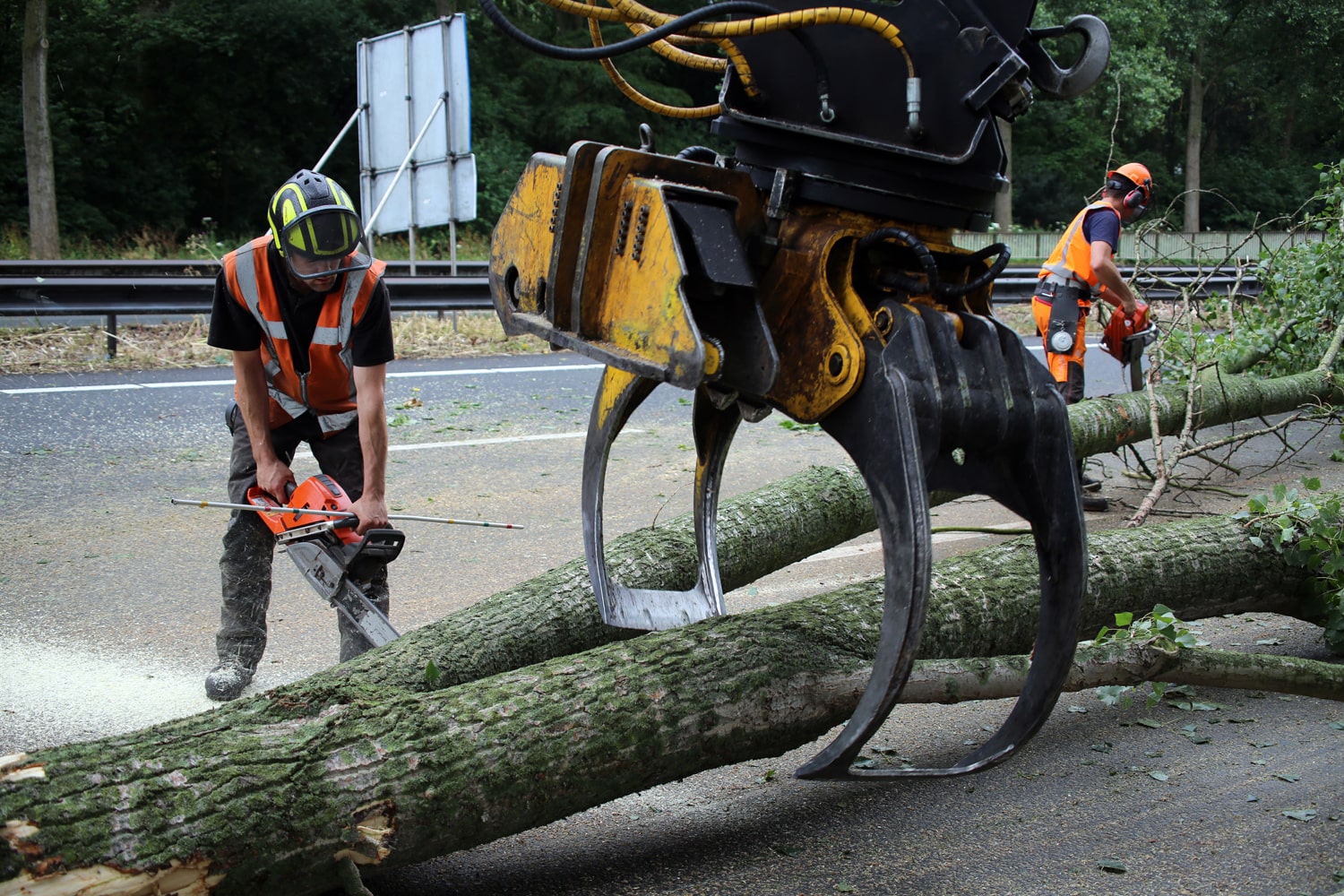 Bomen rooien rijksweg A20 - Foto 30