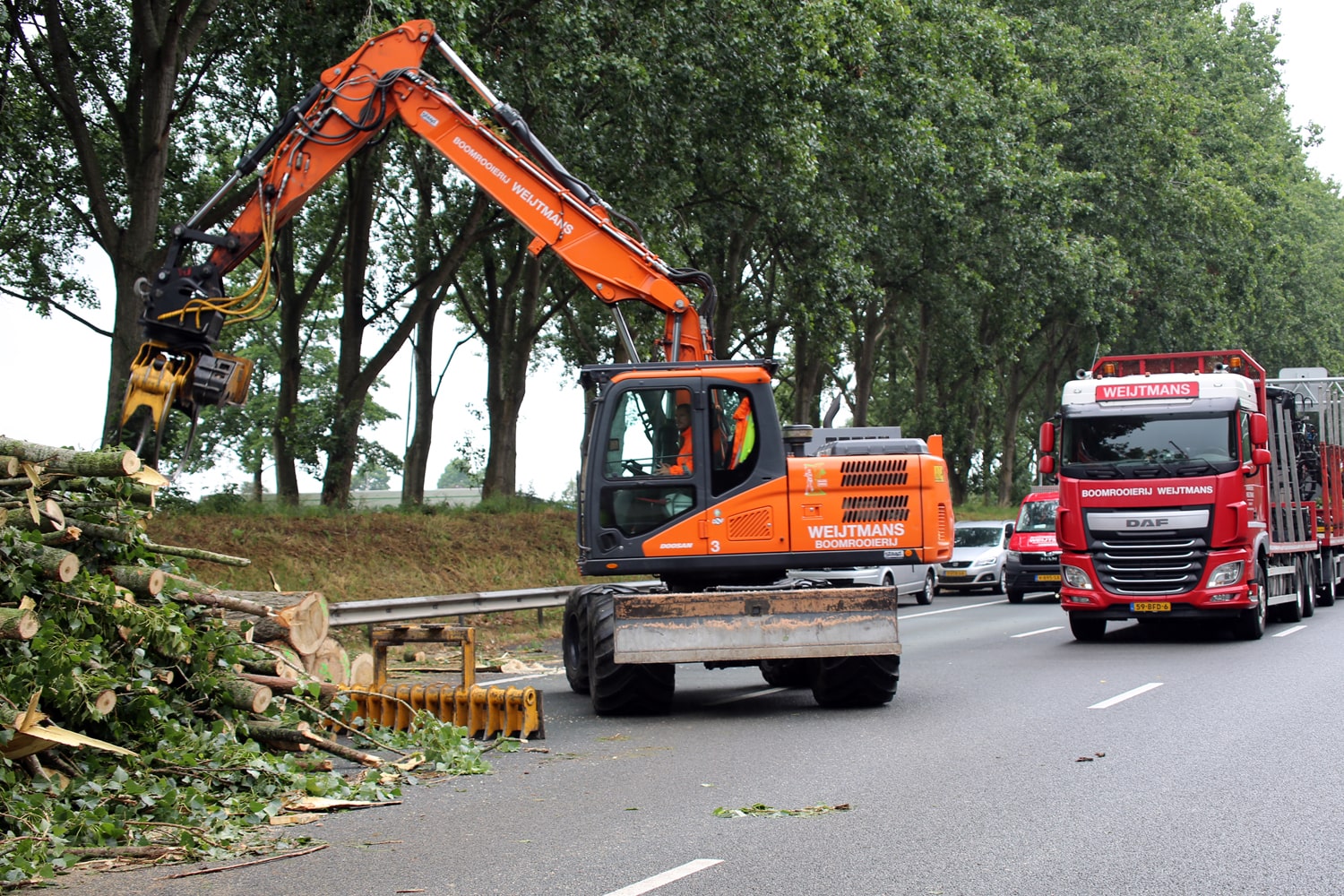 Bomen rooien rijksweg A20 - Foto 33