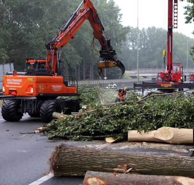 Bomen rooien rijksweg A20