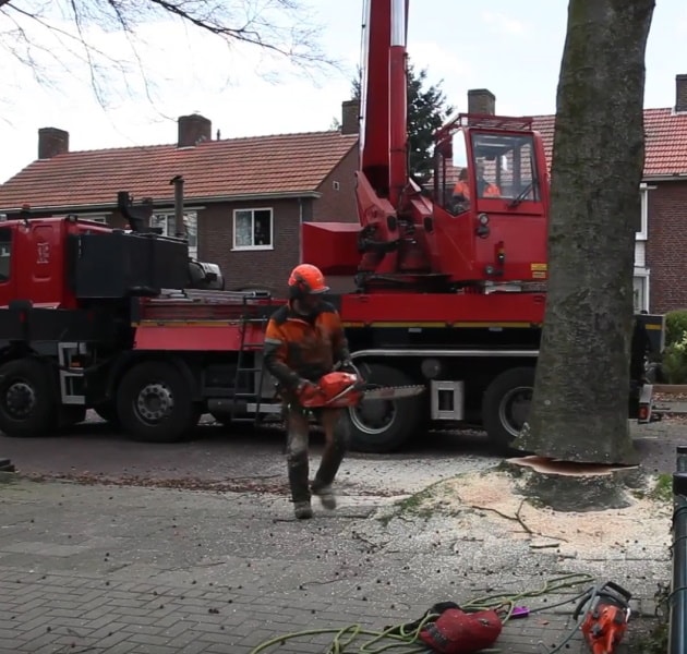 Beukendreef Oisterwijk