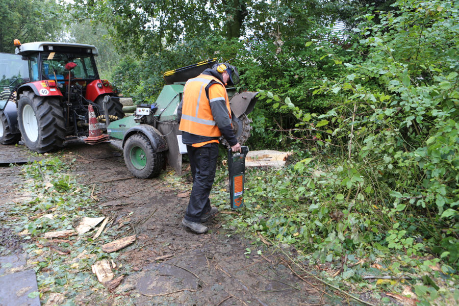 Eindhoven – Rooien populieren - Foto 9