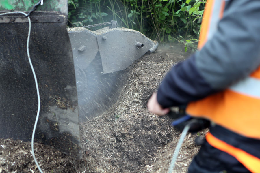 Eindhoven – Rooien populieren - Foto 10