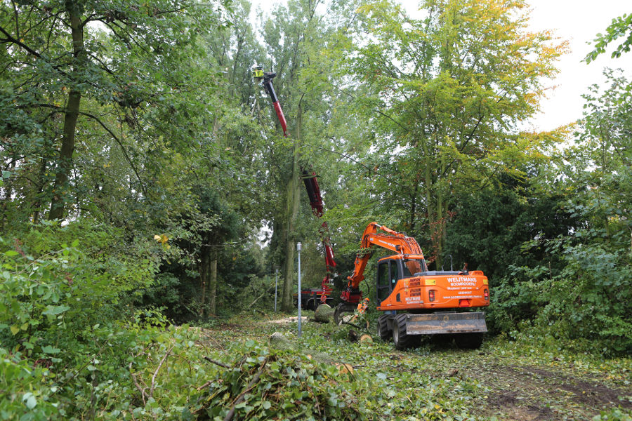 Eindhoven – Rooien populieren - Foto 12
