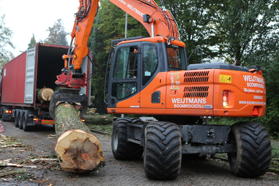 Eindhoven – Rooien populieren - Foto 19