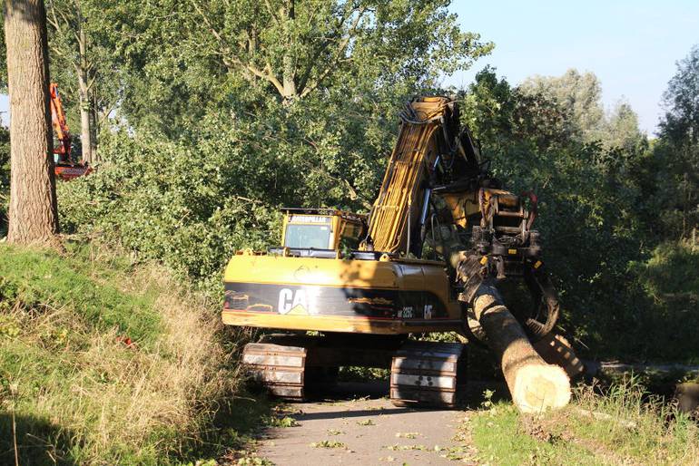 Dordrecht – dunning populieren - Foto 1