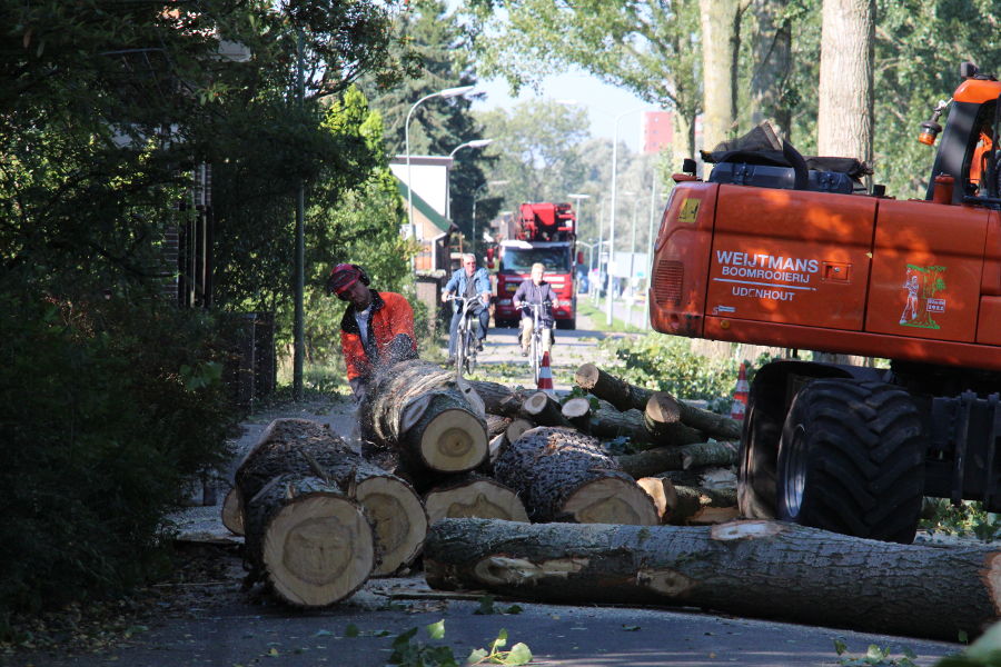 Dordrecht – dunning populieren - Foto 2